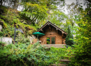 Experience the Beauty of Log Cabin Holidays in the Forest of Dean